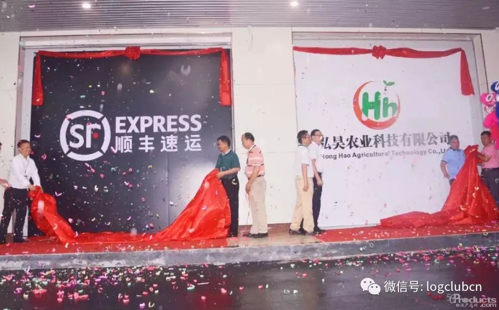 顺丰打造荔枝自动化预处理中心