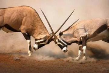 菜鸟网络全面铺开，物流或将再起风云