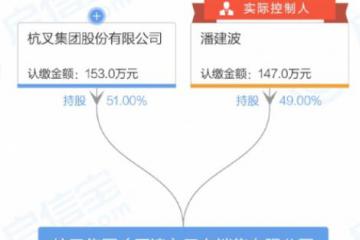 杭叉集团股份有限公司新增对外投资