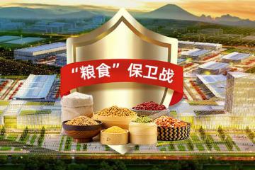 粮稳国安丨锐特信息现代农产品商贸园区平台，打响“粮食”保卫战！