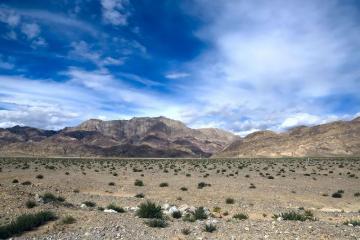 再远，今天也得送——戈壁滩里开出倔强的花