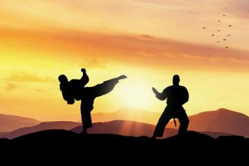 鏖战双11？阿里菜鸟、京东、顺丰系物流生态大PK