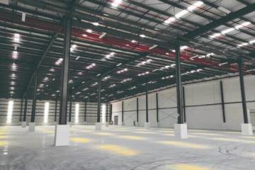 助力本地商品热销全国，万纬中山黄圃园区产地仓升级家电供应链