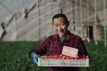 拼多多告别增长神话