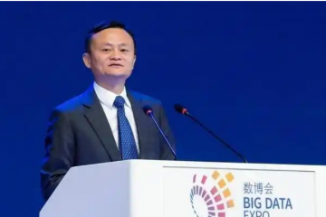 电商双雄 两种思维 改变中国