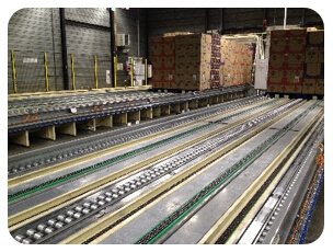 EZLOAD易载-全自动装卸系统TS系列