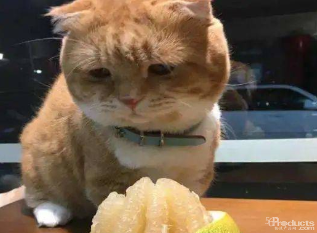 1609987590133454.png 5.png