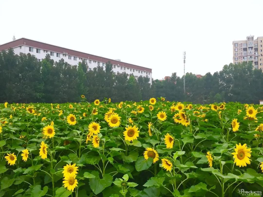 微信图片_20200730162926.jpg