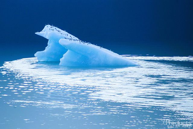 1765975454129043.jpg glacier-7187291_640.jpg