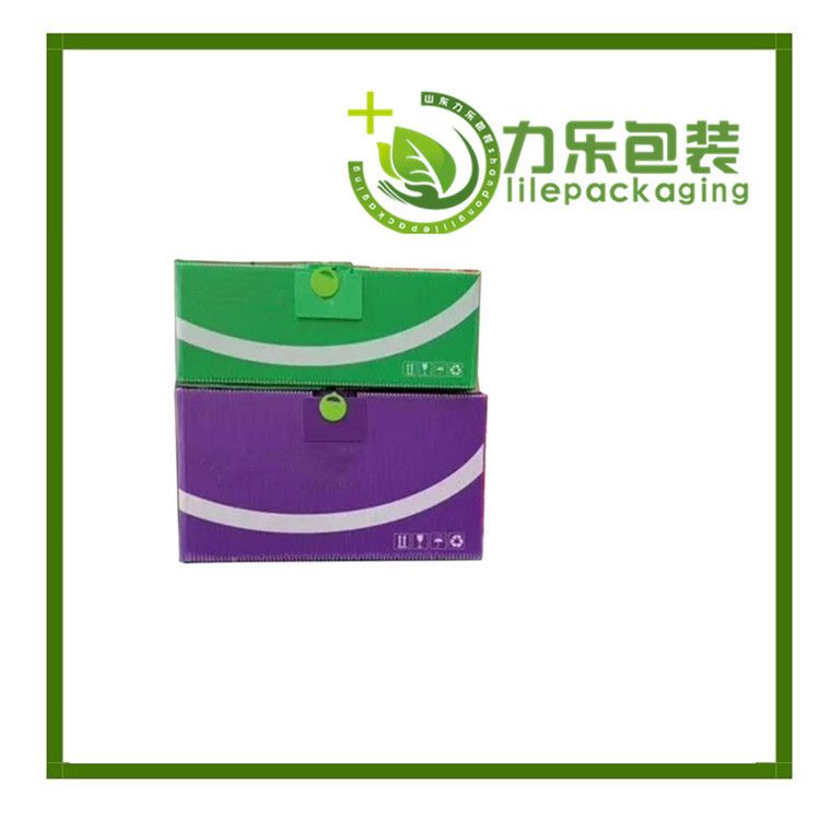 8bddaaaa-9bf9-4a42-80e8-ea6652cf456-0_副本.jpg
